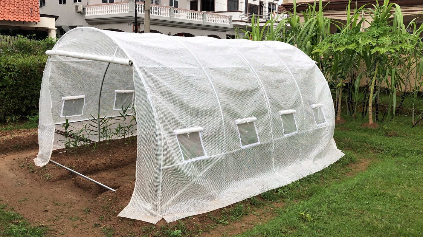 Litgrow Walk in Greenhouse - Plant Grow Tents Steel Frame Garden Backyard Outdoor Gardening aHouse with Doors(Steel Shelf+ PE White Cover. Pipe Diameter 25mm) PE Cover +Sheel Frame