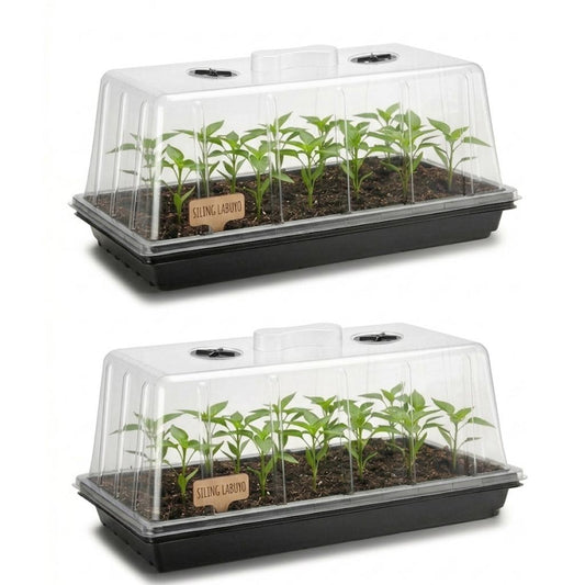 2 Pair Plastic Hydroponics Propagation Kits,Tray for Plants Propagation