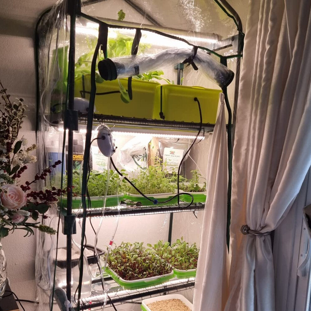 Litgrow Garden Upgraded 5-Tier Mini Greenhouse with Castors Wheels - Portable Small Gardening Green House with PVC Cover - Heavy Duty Swivel Castors with Brakes - 76''H x 27''L x 19''W Indoor & Outdoor