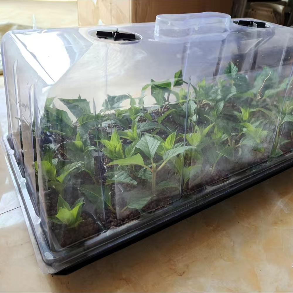 2 Pair Plastic Hydroponics Propagation Kits,Tray for Plants Propagation