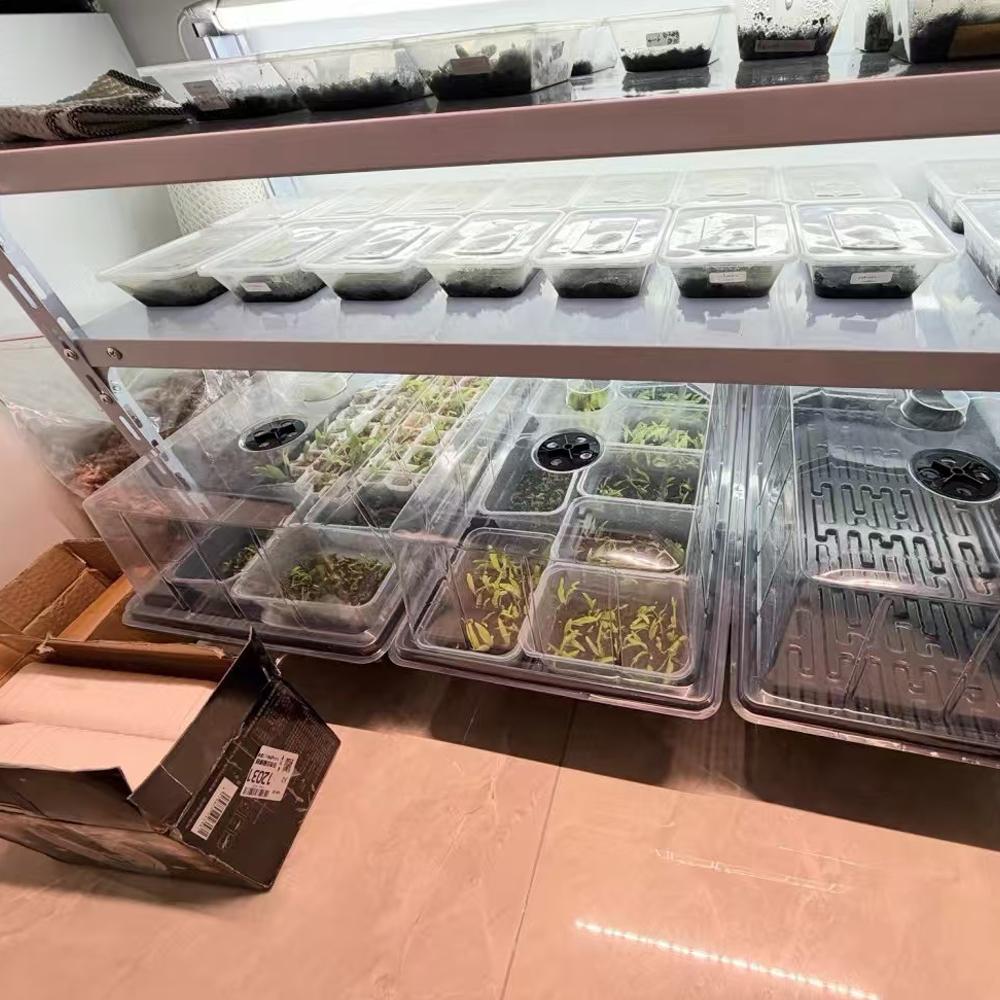2 Pair Plastic Hydroponics Propagation Kits,Tray for Plants Propagation