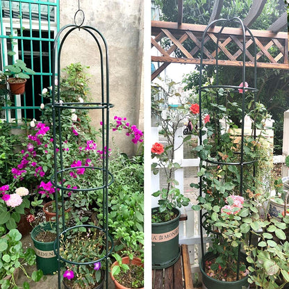 Litgrow Garden Obelisk Trellis for Climbing Plants, Wrought Iron Metal Trellis Flower Support for Climbing Vines, Rose and Plants