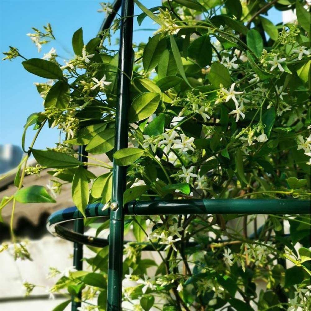 Litgrow Garden Obelisk Trellis for Climbing Plants, Wrought Iron Metal Trellis Flower Support for Climbing Vines, Rose and Plants