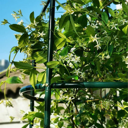 Litgrow Garden Obelisk Trellis for Climbing Plants, Wrought Iron Metal Trellis Flower Support for Climbing Vines, Rose and Plants