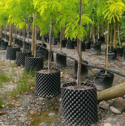 Ultra Oxy Pot Super Air Pots (Including chassis) - Litgrow