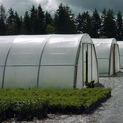 Litgrow Polyethylene 160-Micron UV Resistant Plastic Greenhouse Film