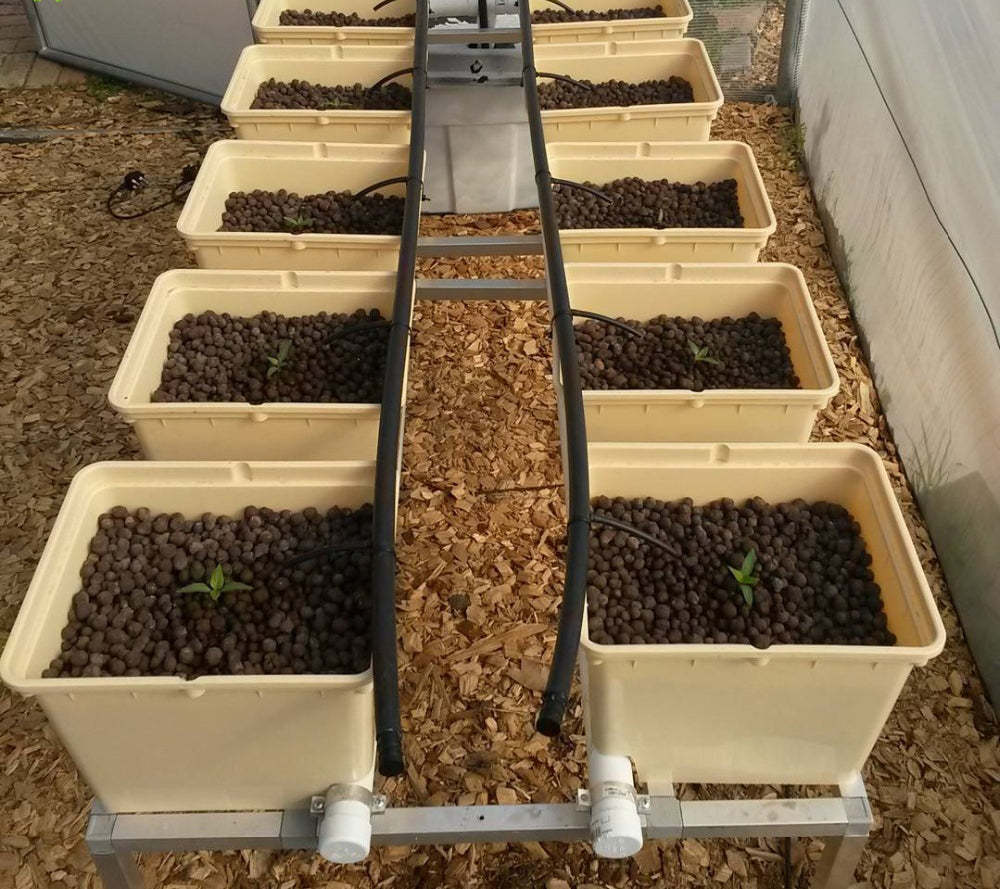 DUTCH BUCKET / BATO BUCKET - Litgrow